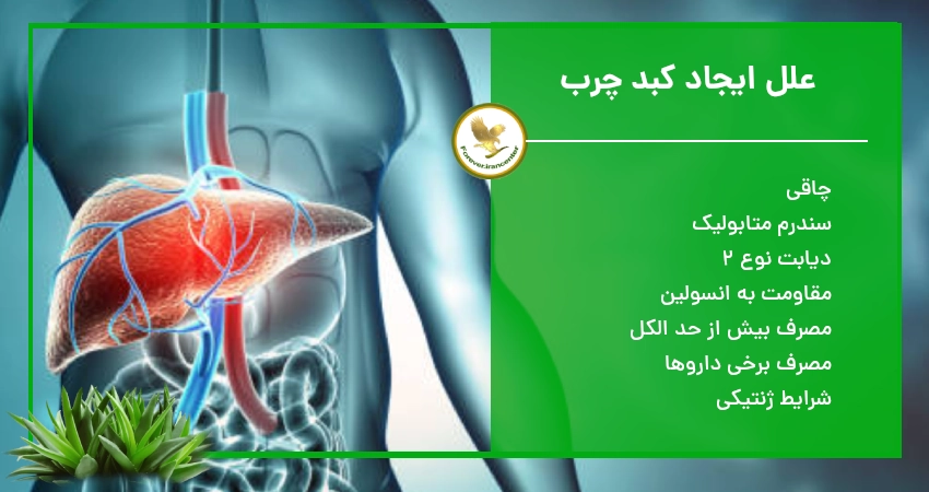 علل ایجاد کبد چرب