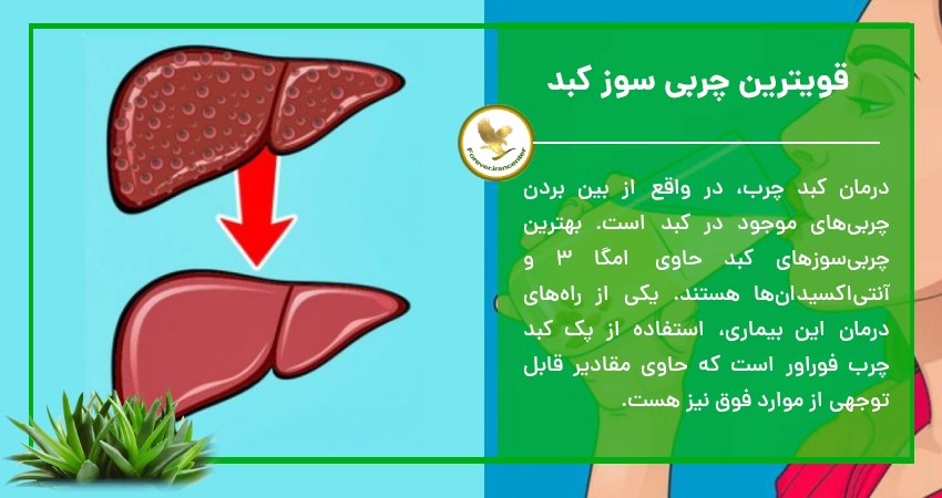 قویترین چربی سوز کبد