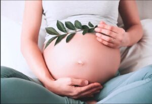 ژل رویال در بارداری