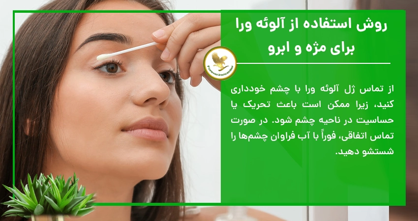 روش استفاده از آلوئه ورا برای مژه و ابرو