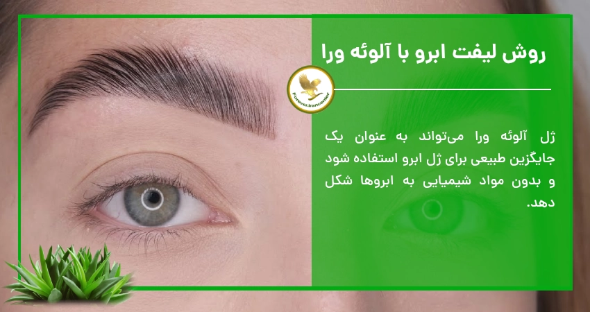 روش لیفت ابرو با آلوئه ورا