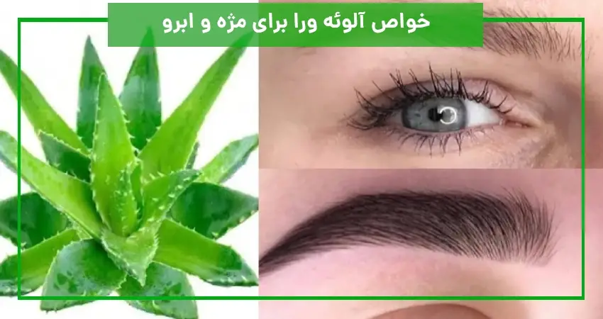 خواص آلوئه ورا برای مژه و ابرو